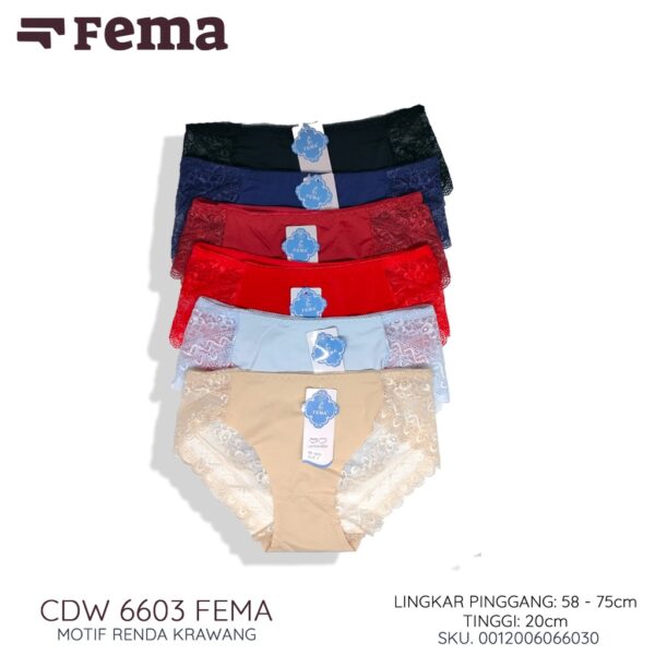 FEMA Official Shop Ecer 1 pcs Celana Dalam Wanita Krawang B48/753/6603 - Image 4