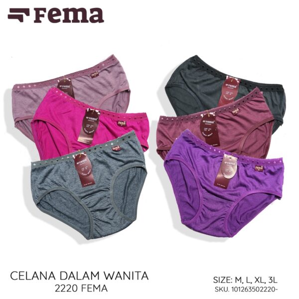 FEMA Official Shop GROSIR Isi 12 Pcs Celana Dalam Wanita 2200/2220/8833/8835/A04 - Image 2