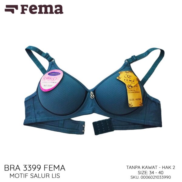 FEMA Official Shop Ecer 1 pcs Bh Bra 3399 Salur Lis Warna