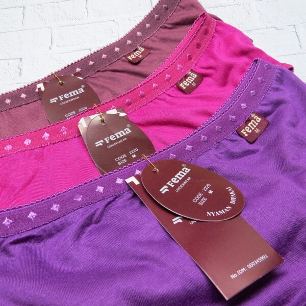 FEMA Official Shop GROSIR Isi 12 Pcs Celana Dalam Wanita 2200/2220/8833/8835/A04 - Image 4