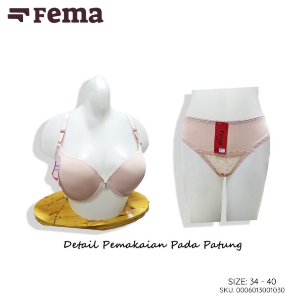 FEMA Official Shop Ecer 1 Pcs BH BRA SET 103 Bordir Premium Cup B