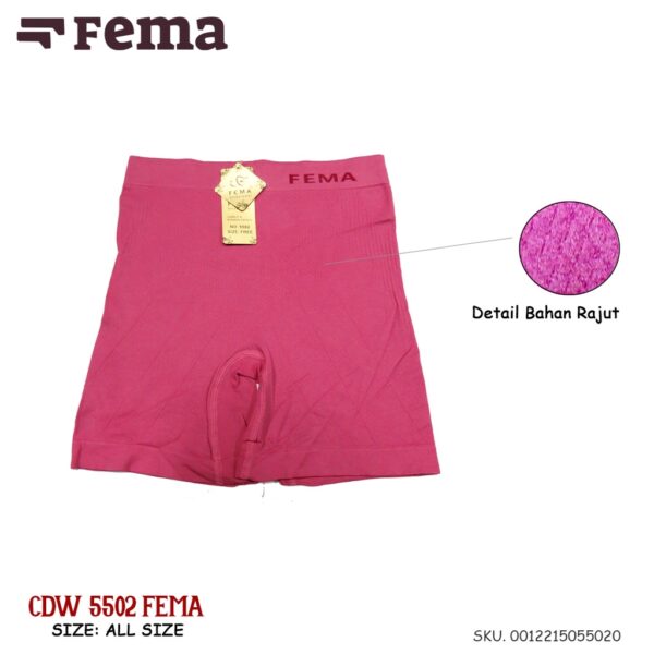FEMA Official Shop GROSIR 1 Lusin Celana Dalam Wanita Segiempat  Boxer 5502/5501 - Image 5
