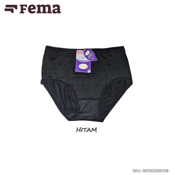 FEMA Official Shop ECER 1 pcs Celana Dalam Wanita 318 Polos Ban Pinggang Lebar - Image 4