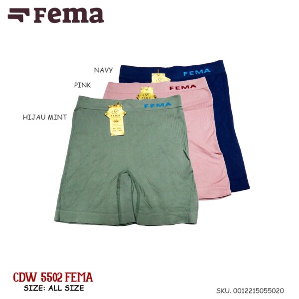 FEMA Official Shop GROSIR 1 Lusin Celana Dalam Wanita Segiempat  Boxer 5502/5501 - Image 3