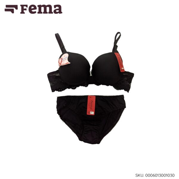 FEMA Official Shop Ecer 1 Pcs BH BRA SET 103 Bordir Premium Cup B - Image 4