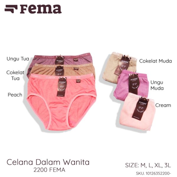 FEMA Official Shop ECER 1 pcs Celana Dalam Wanita 2200 Polos - Image 2
