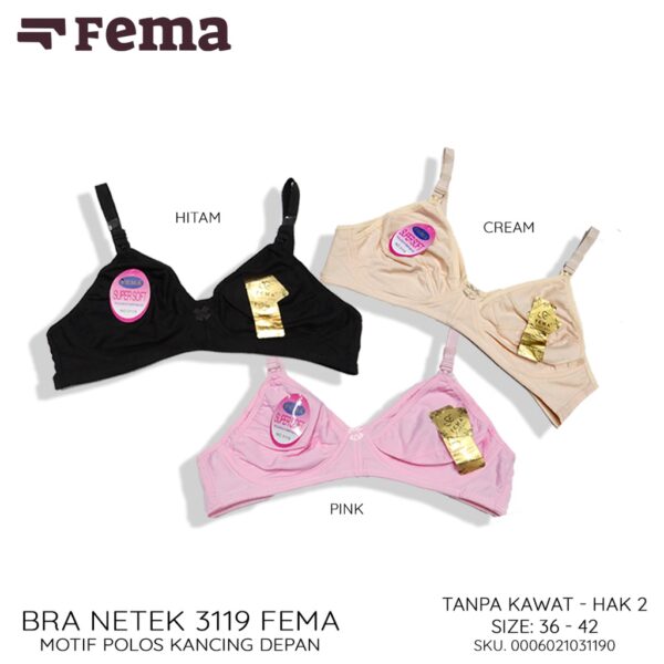 FEMA Official Shop Ecer 1 Pcs BH Bra 3119 Netek Menyusui Maternity - Gambar 2