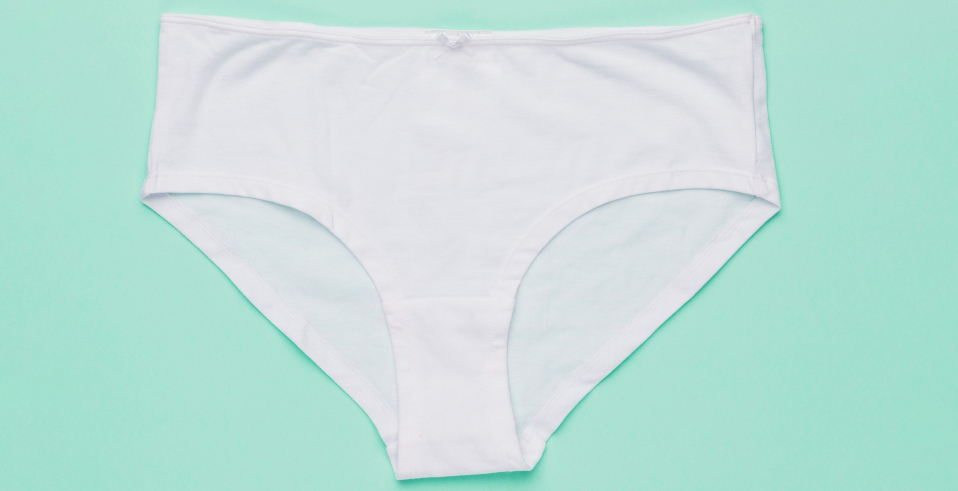 Briefs