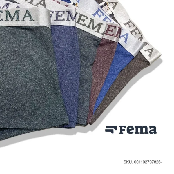 CD Boxer 728 FEMA Motif Sembur Detail