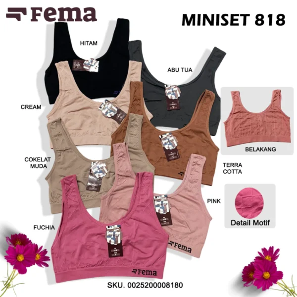 Miniset 818
